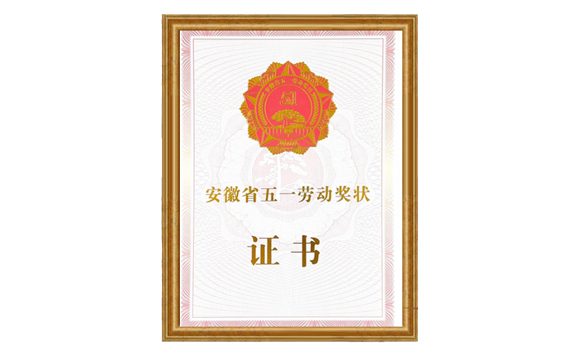 安徽省五一劳动奖状证书