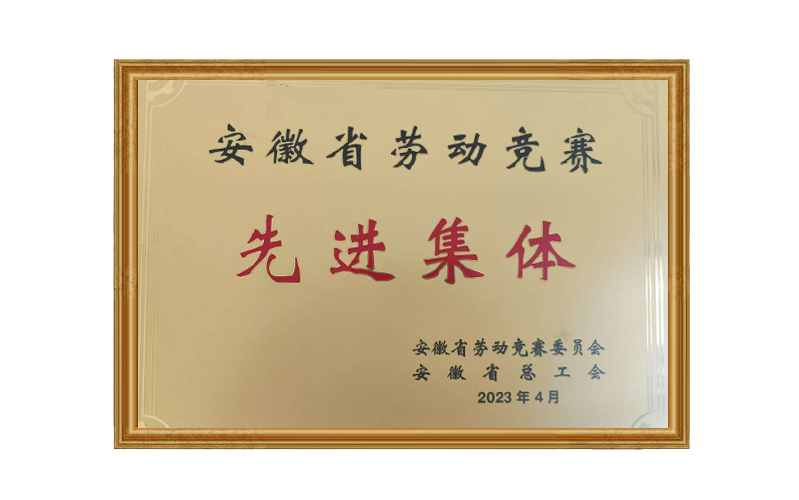 安徽省劳动竞赛先进集体