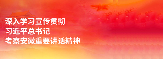 深入学习宣传贯彻习近平总书记考察安徽重要讲话