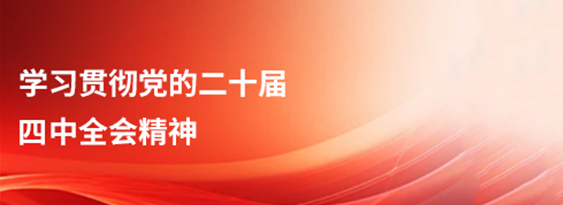 学习贯彻党的二十届四中全会精神
